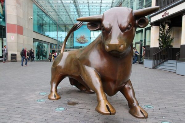 bullring bull